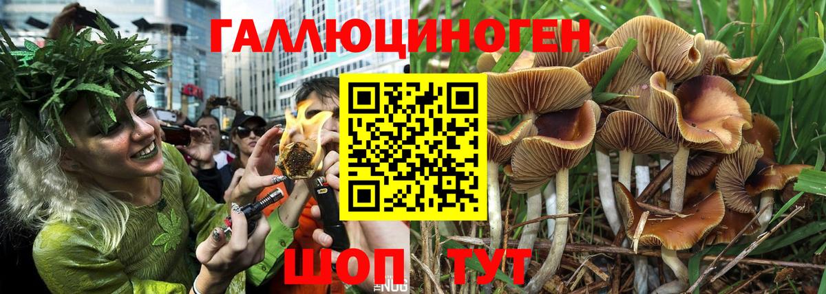 ЭКСТАЗИ  LSD-25  Кокаин  ТГК  Кодеин  Гурьевск  Марихуана  Конопля  Alpha-PVP СК   Гашиш  Вход с VPN  Героин  Меф МЯУ МЯУ кристаллы 