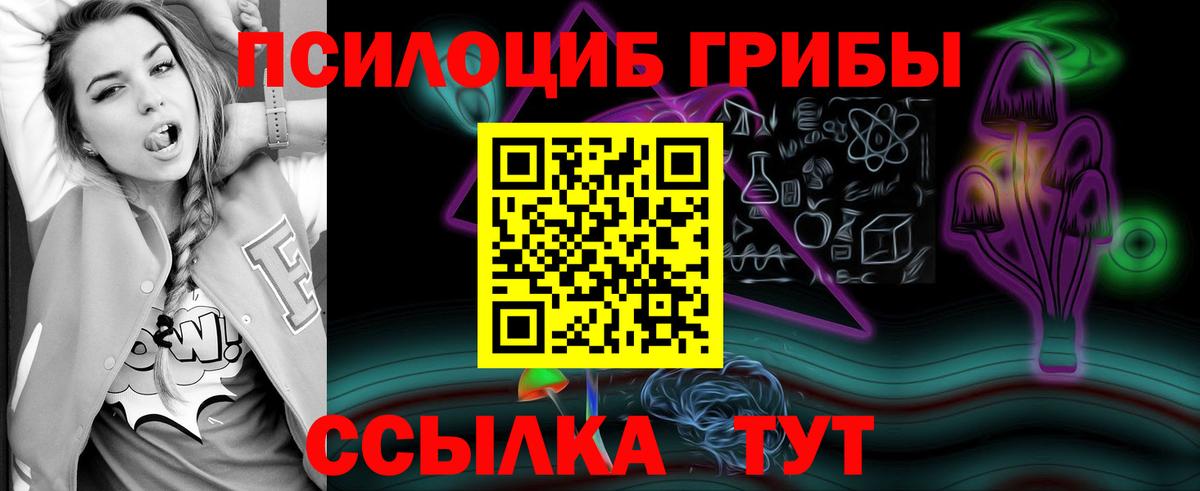 Галлюциногенные грибы прущие грибы  Вход с VPN  Гурьевск 